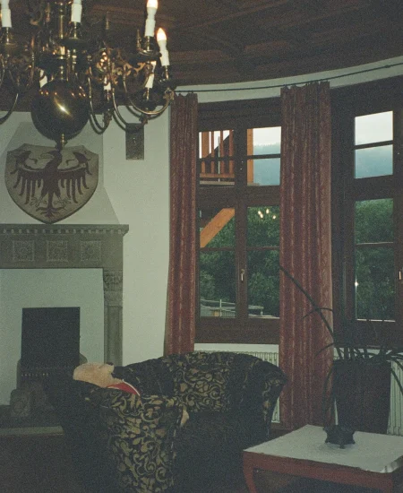 Gothic living room featuring black furniture, chandeliers, and deep color tones